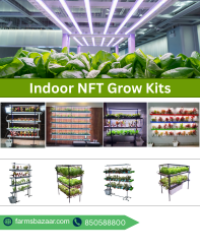 Indoor NFT Grow Kits