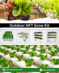 Outdoor NFT Grow Kit