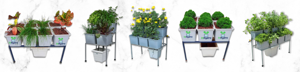 Hydroponics  Garden