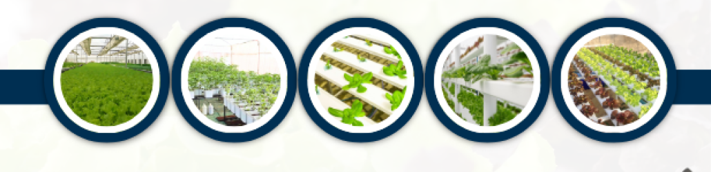 Hydroponics Equipments