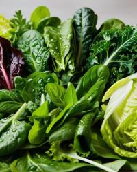 Leafy Greens & Herbs