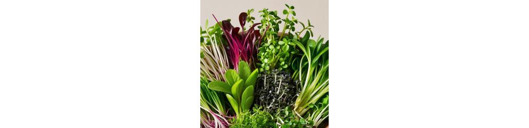 Microgreens