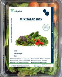Fresh Salad Boxes
