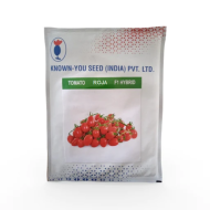 Known You -  Goldie F1 Hybrid Roja Cherry Tomato (RED)