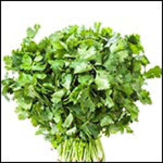 SURABHI CORIANDER-500gm
