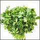 SURABHI CORIANDER-500gm