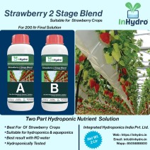 Strawberry Two Part Nutrient