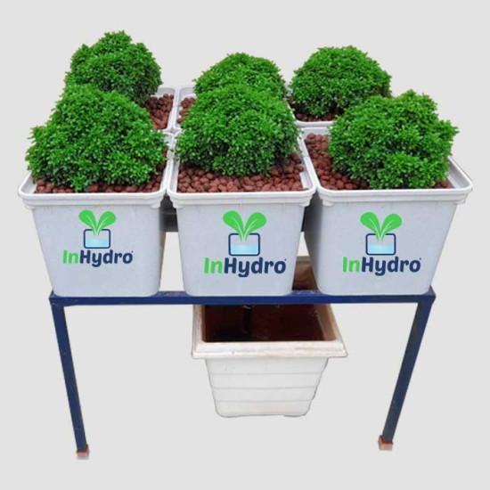 6 Dutch Bucket Hydroponics System