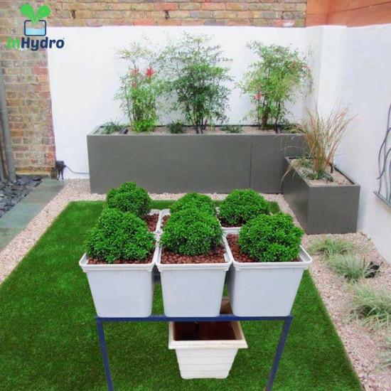 6 Dutch Bucket Hydroponics System