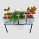8 Dutch Bucket Hydroponics System