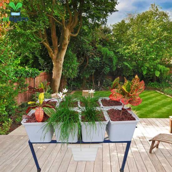 8 Dutch Bucket Hydroponics System