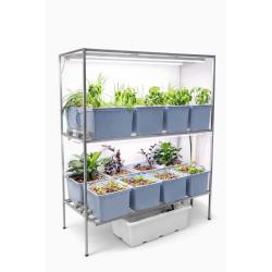 16 Dutch Bucket Indoor Vertical Hydroponics System with GI Structure