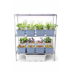 16 Dutch Bucket Indoor Vertical Hydroponics System with GI Structure