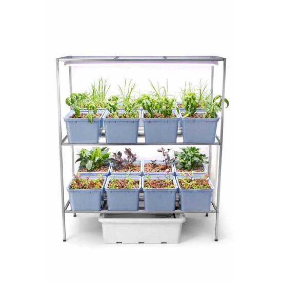 16 Dutch Bucket Indoor Vertical Hydroponics System with GI Structure