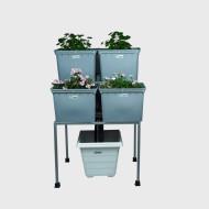 4 Double Decker Dutch Bucket System