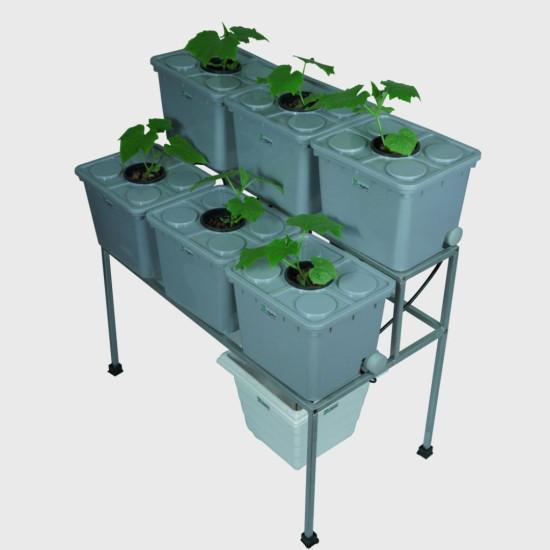 6 Double Decker Dutch Bucket Hydroponics System