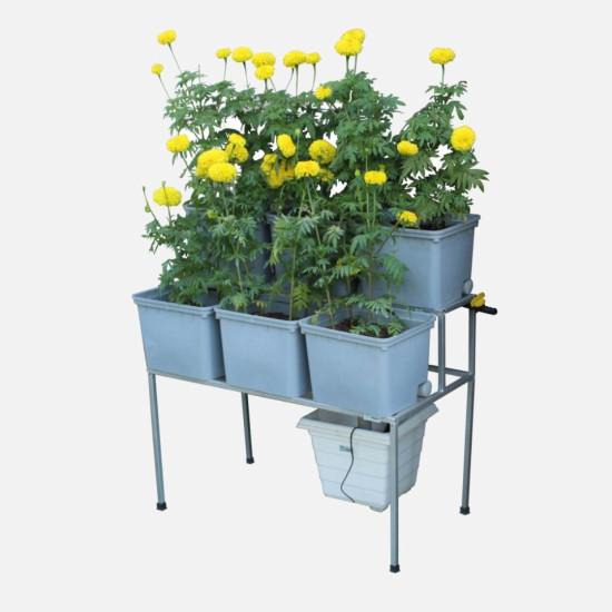 6 Double Decker Dutch Bucket Hydroponics System