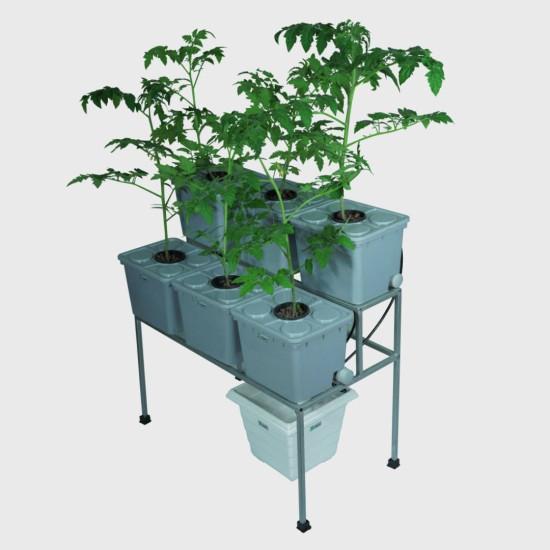 6 Double Decker Dutch Bucket Hydroponics System