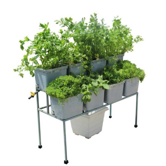 8 Double Decker Dutch Bucket Hydroponics System