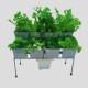 8 Double Decker Dutch Bucket Hydroponics System