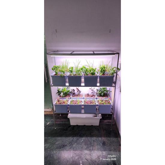 16 Dutch Bucket Indoor Vertical Hydroponics System with GI Structure