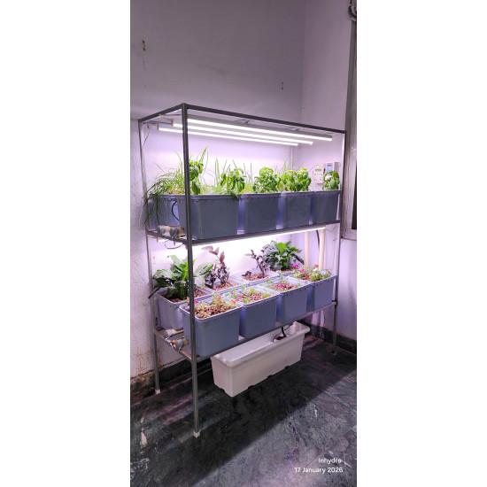 16 Dutch Bucket Indoor Vertical Hydroponics System with GI Structure