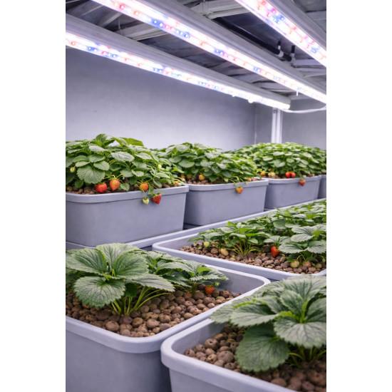 16 Dutch Bucket Indoor Vertical Hydroponics System with Aluminium Structure