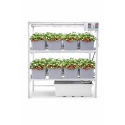 16 Dutch Bucket Indoor Vertical Hydroponics System with Aluminium Structure