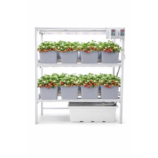 16 Dutch Bucket Indoor Vertical Hydroponics System with Aluminium Structure