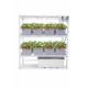 16 Dutch Bucket Indoor Vertical Hydroponics System with Aluminium Structure