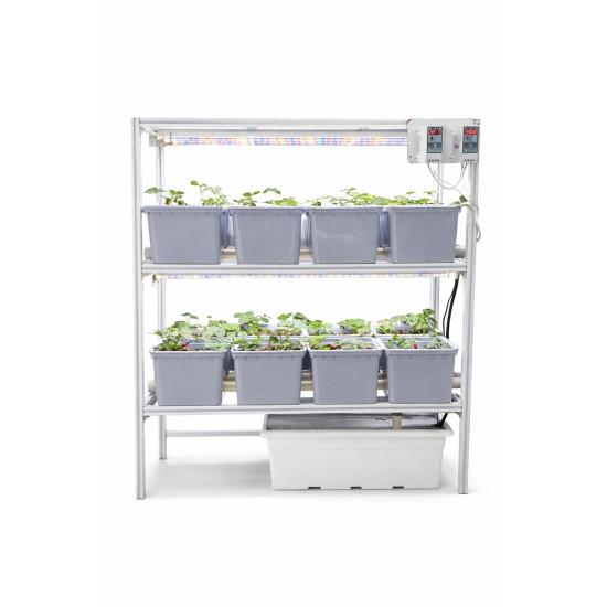 16 Dutch Bucket Indoor Vertical Hydroponics System with Aluminium Structure