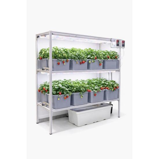 16 Dutch Bucket Indoor Vertical Hydroponics System with Aluminium Structure