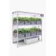 16 Dutch Bucket Indoor Vertical Hydroponics System with Aluminium Structure