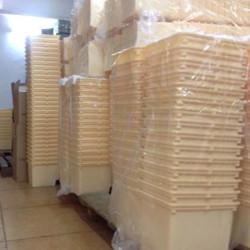 Dutch Bucket Set of 50 PP