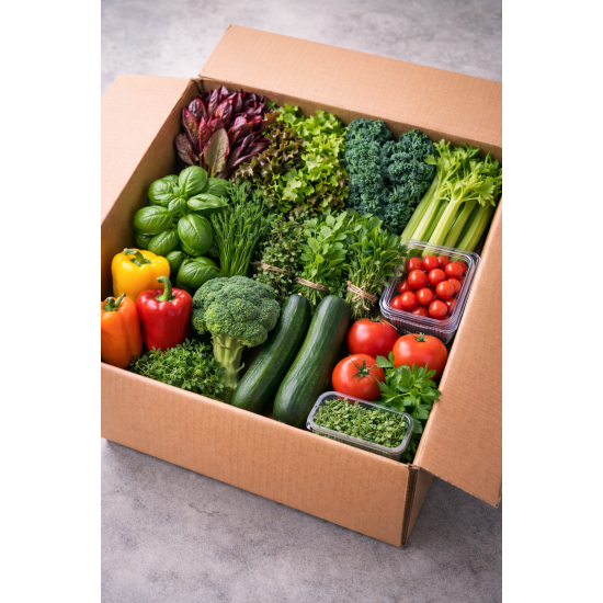 Premium Hydroponic Veggie Box | Clean, Pesticide-Free & Nutrient-Rich