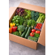 Premium Hydroponic Veggie Box | Clean, Pesticide-Free & Nutrient-Rich