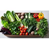 Hydroponics Vegetable Basket  - 2.5kg