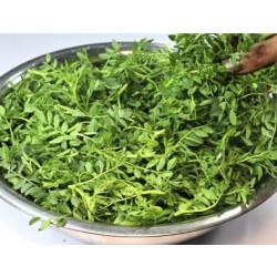 Fresh Chana ka  Saag - 500gm