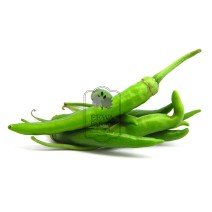 Hydroponics Chilli- 1 kg - Fresh Vegetable 