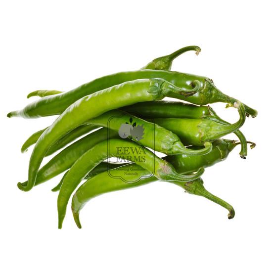 Hydroponics Chilli- 1 kg - Fresh Vegetable