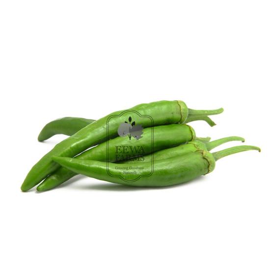 Hydroponics Chilli- 1 kg - Fresh Vegetable