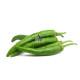Hydroponics Chilli- 1 kg - Fresh Vegetable