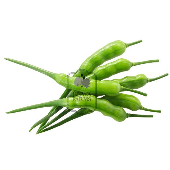Hydroponics Chilli- 1 kg - Fresh Vegetable