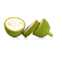 Kathal / jack fruit ( कटहल ) - 500 gm 