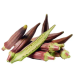 Bhindi / Okra  भिन्डी - 1 Kg Red