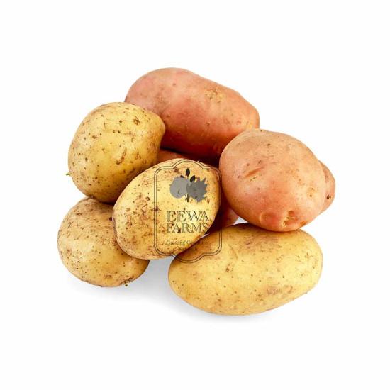 Fresh Potato - 1 kg