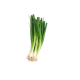 Fresh Vegetable Spring Onion - 250 gm