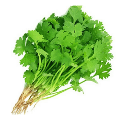 Coriander (धनिया) - 100 gm