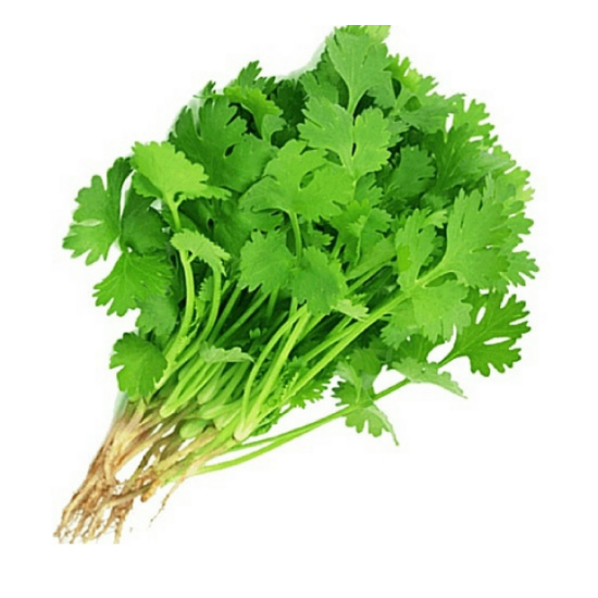 Coriander (धनिया) - 100 gm