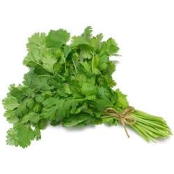 Coriander (धनिया) - 100 gm